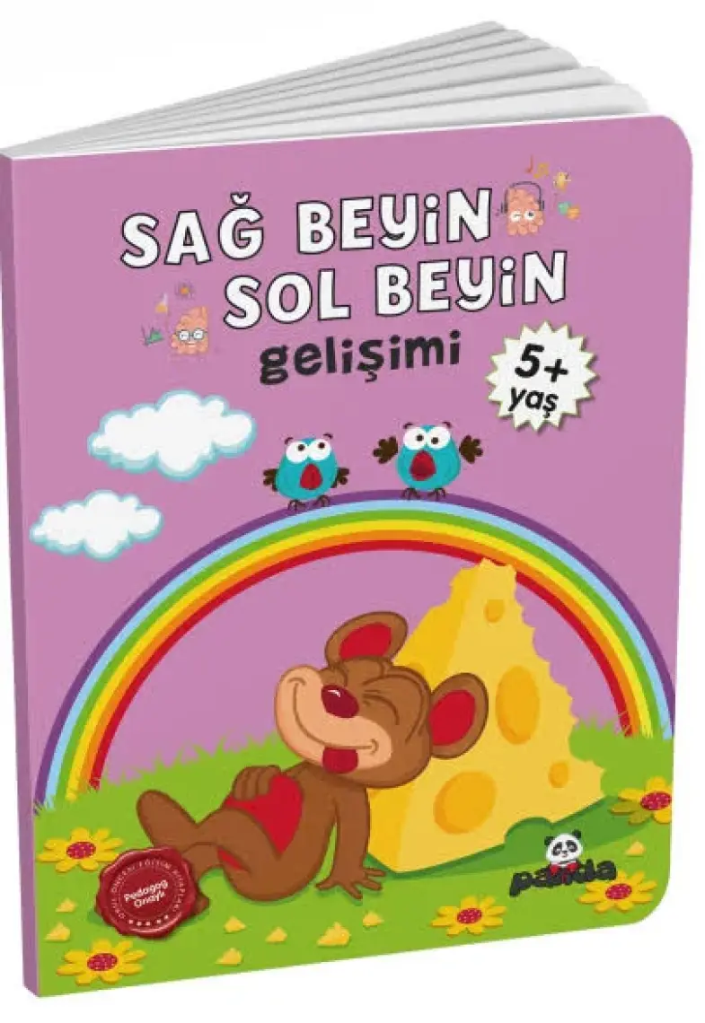 5 Yaş Sağ Beyin-Sol Beyin Gelişimi