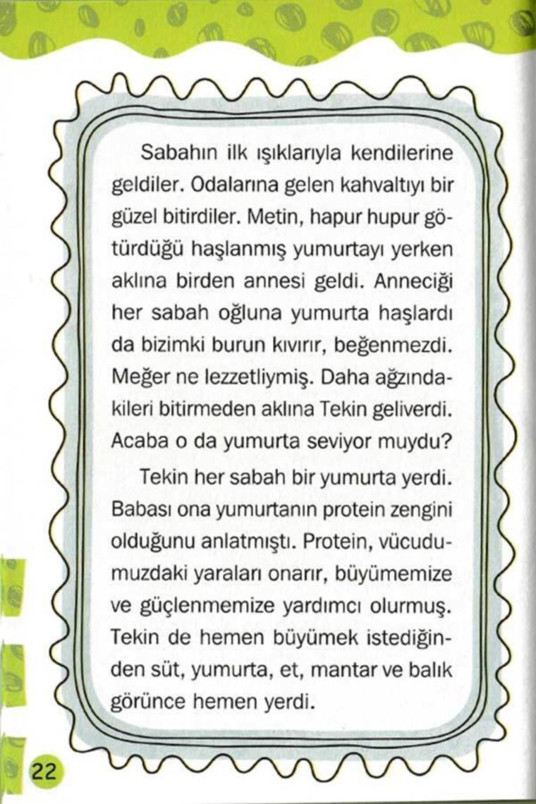 4. Sınıf Okuma Kitapları Seti 10 Kitap 960 Sayfa