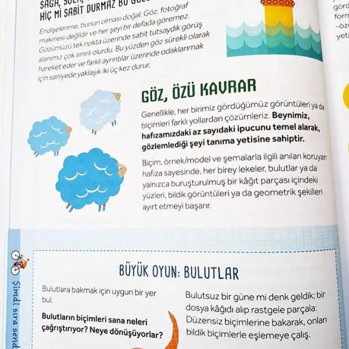 Çalıştır Saksıyı - Carlo Carzan