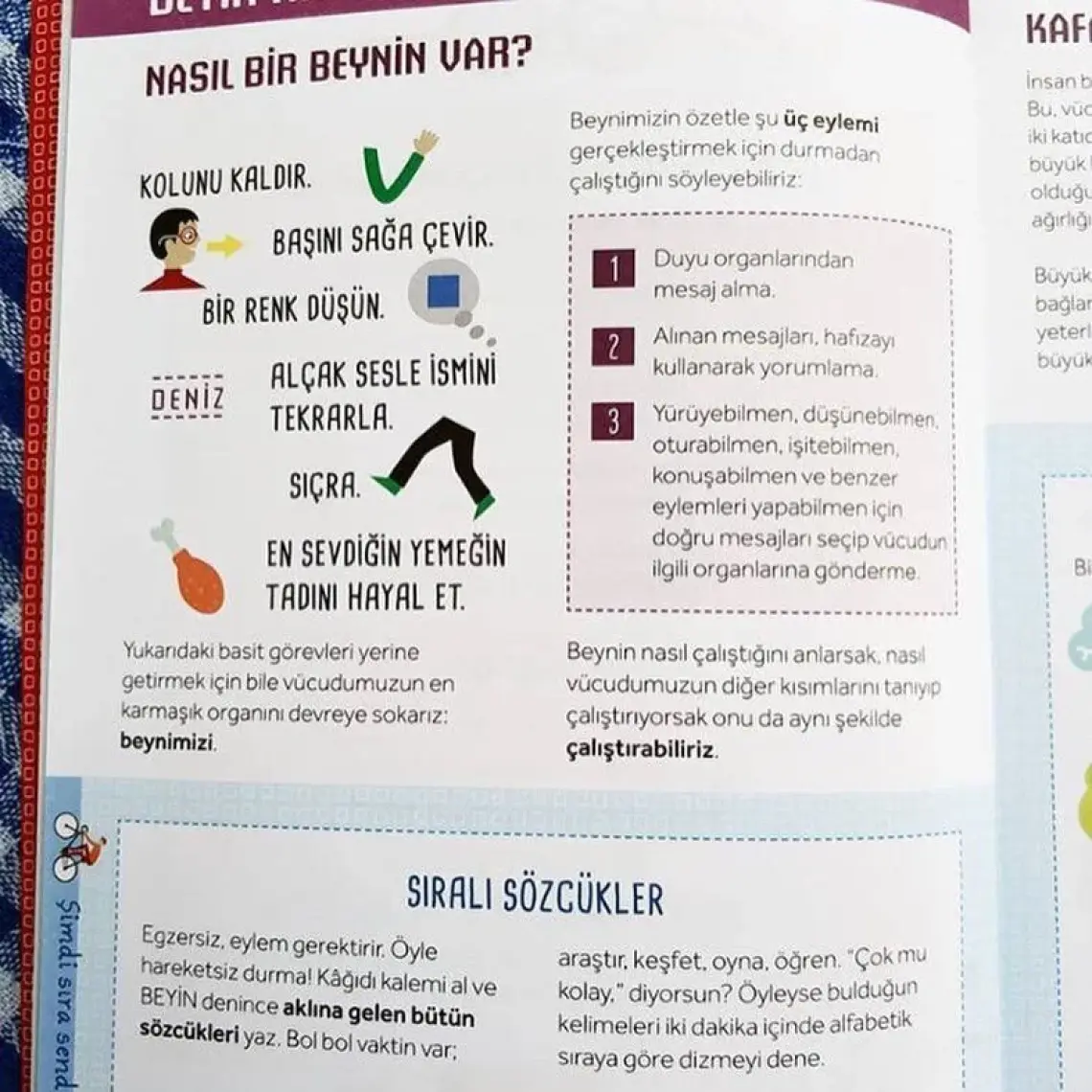Çalıştır Saksıyı - Carlo Carzan