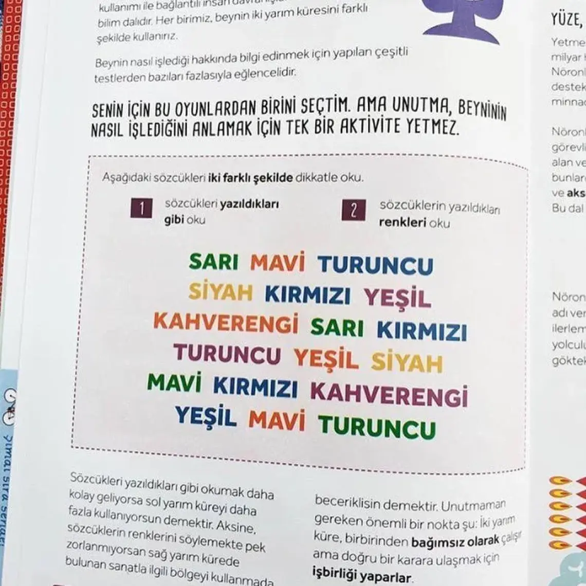 Çalıştır Saksıyı - Carlo Carzan