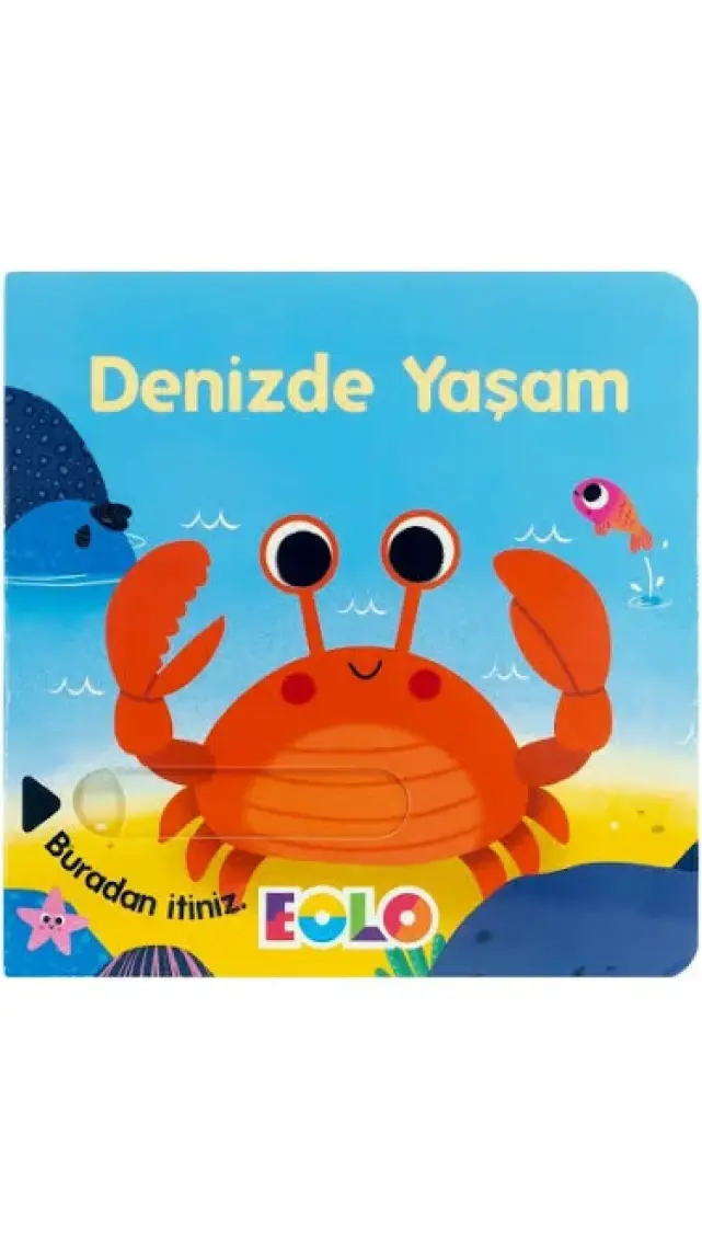 Denizde Yaşam (Hareketli Kitap & Kaydır Gör)