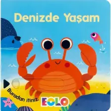 Denizde Yaşam (Hareketli Kitap & Kaydır Gör)