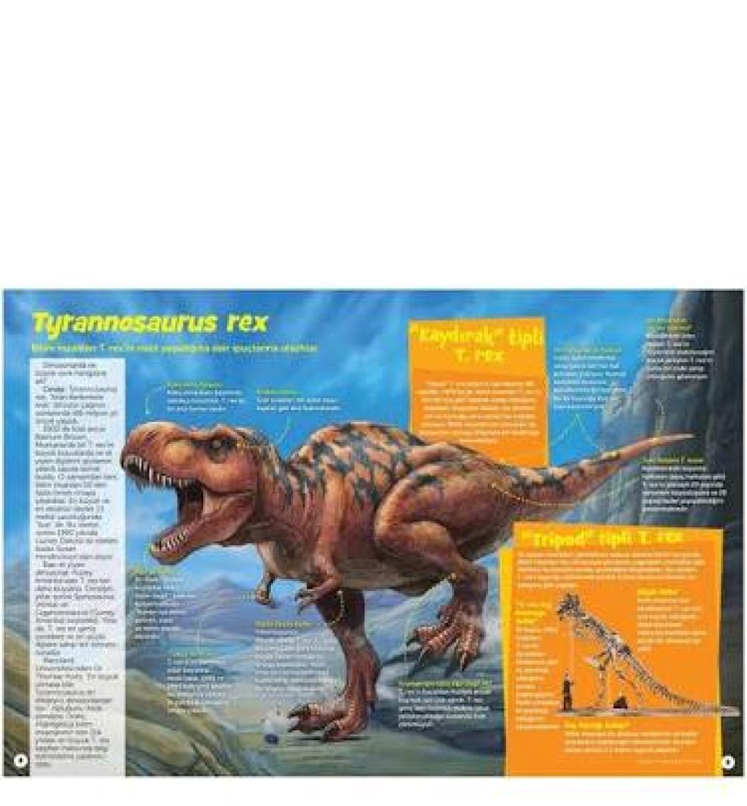 Dinozor Sevenler İçin Hidden Pictures