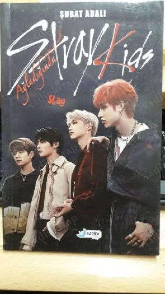 Stray Kids Ağladığında