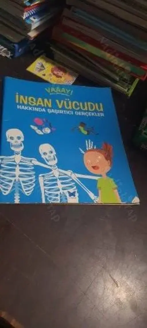 İnsan Vücudu Hakkında Şaşırtıcı Gerçekler - Patricia Macnair