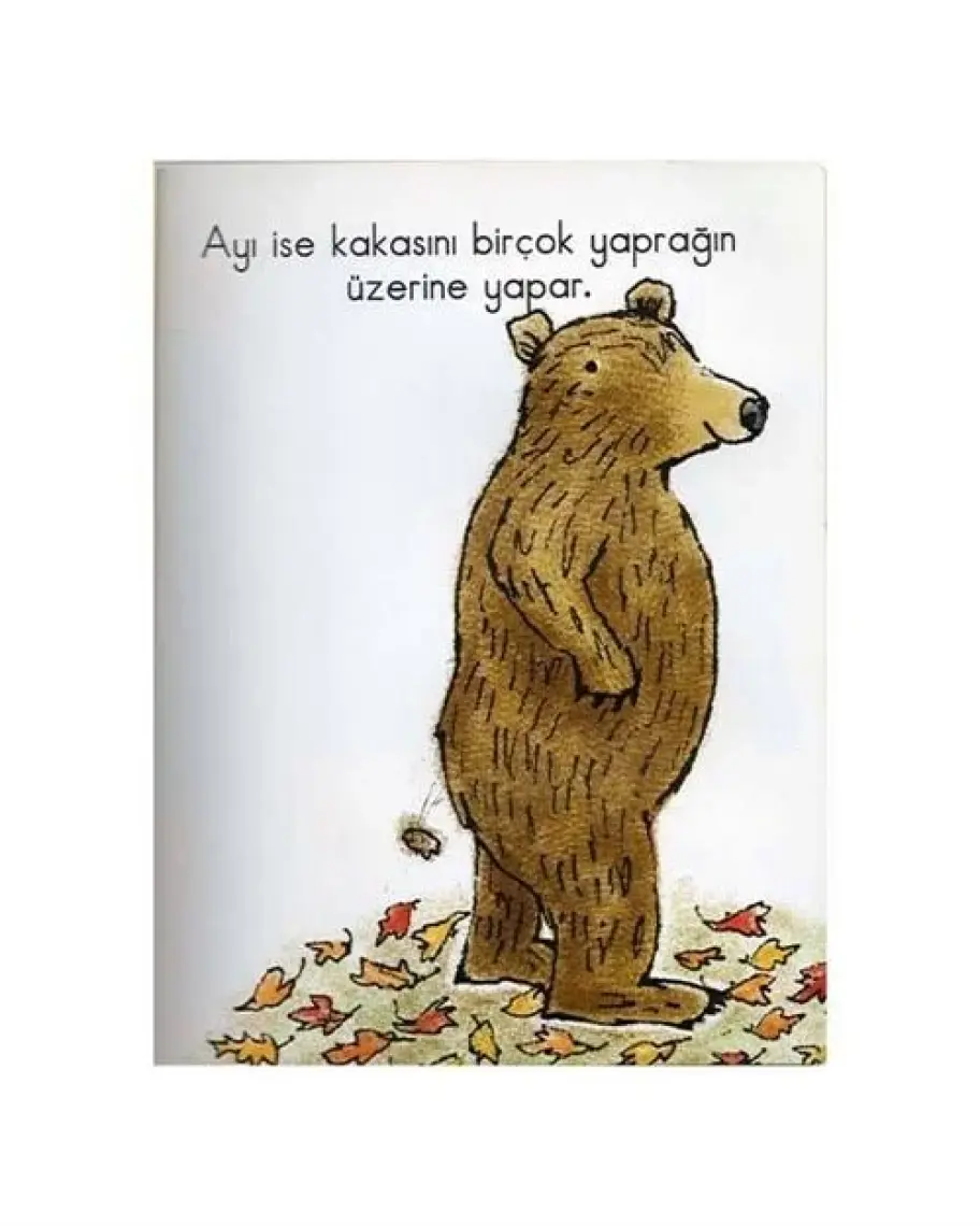 Kakanı Buraya Yap - Paul Meisel
