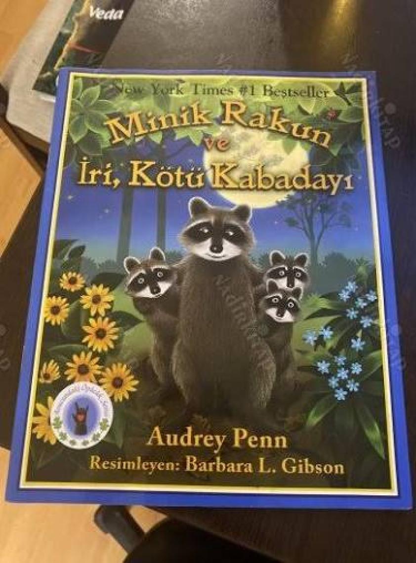 Minik Rakun ve İri, Kötü Kabadayı - Audrey Penn