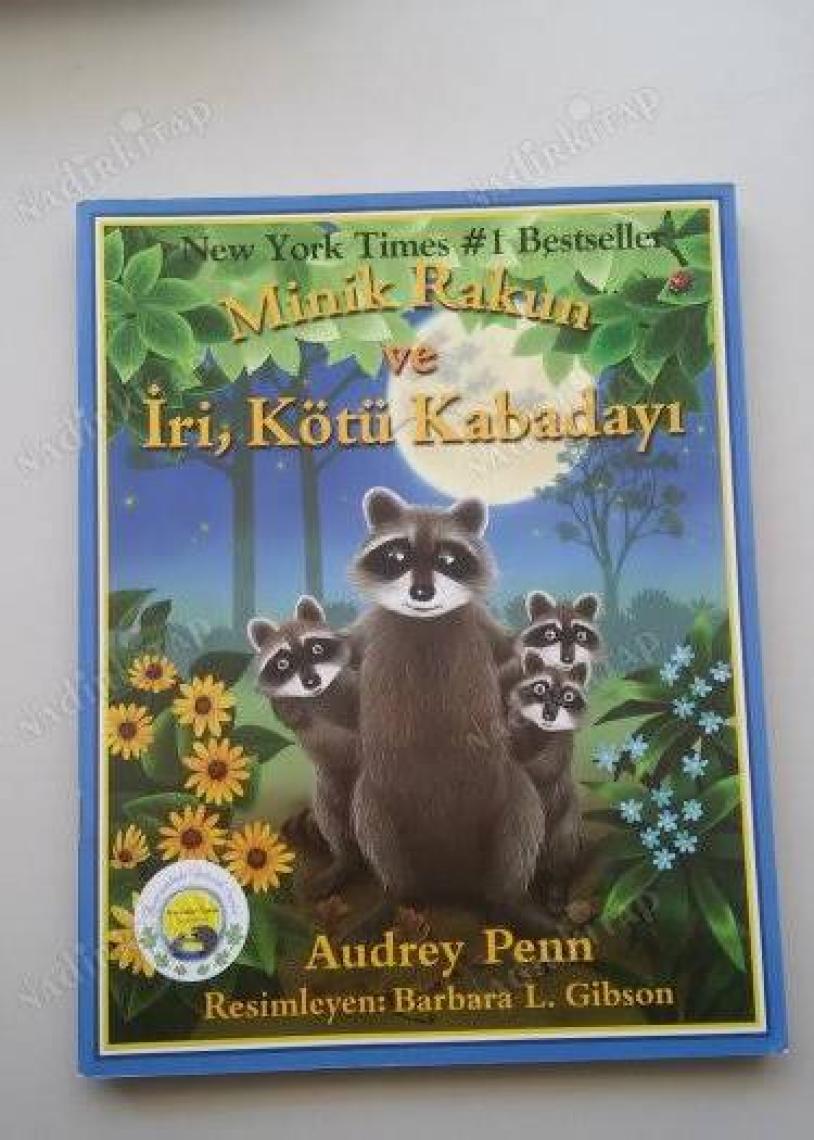 Minik Rakun ve İri, Kötü Kabadayı - Audrey Penn