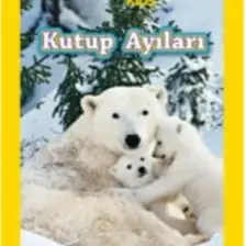 National Geographic Kids Kutup Ayıları - Laura Marsh