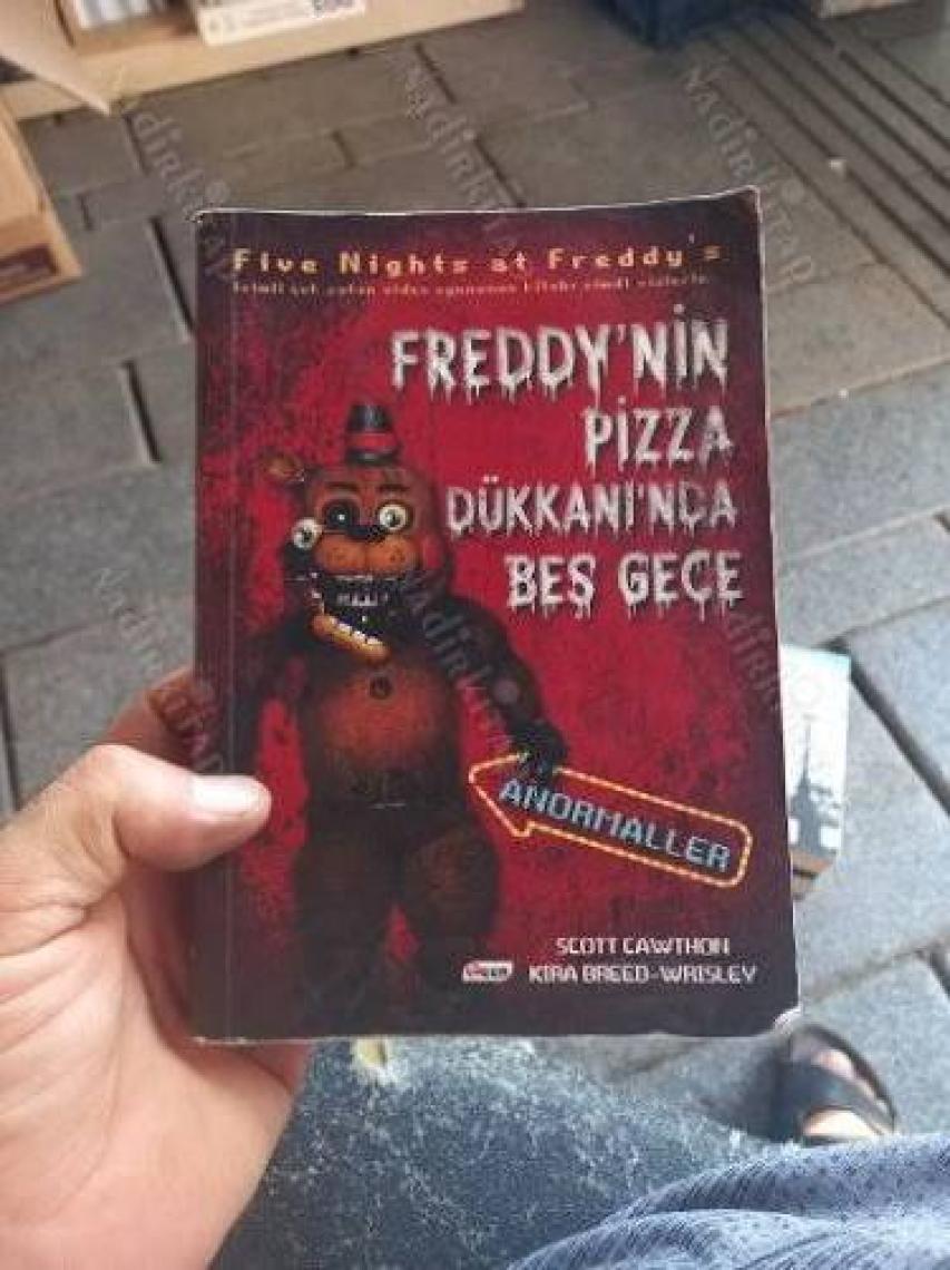 Freddy'nin Pizza Dükkanı'nda Beş Gece - 4. Dolap (3. Kitap)