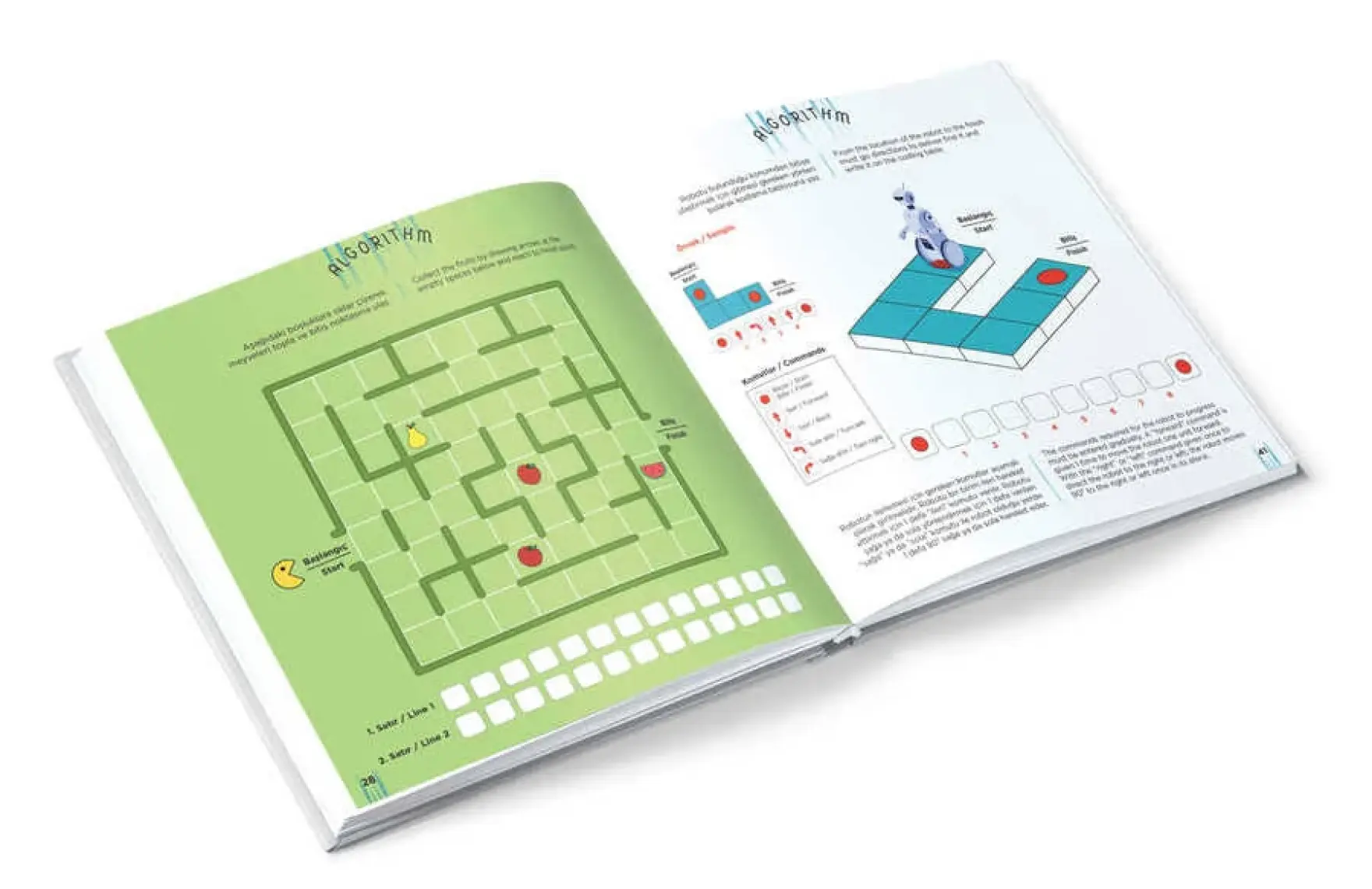 Algorithm - 6+ Yaş - IQ Dikkat ve Yetenek Geliştiren Kitaplar Serisi 9