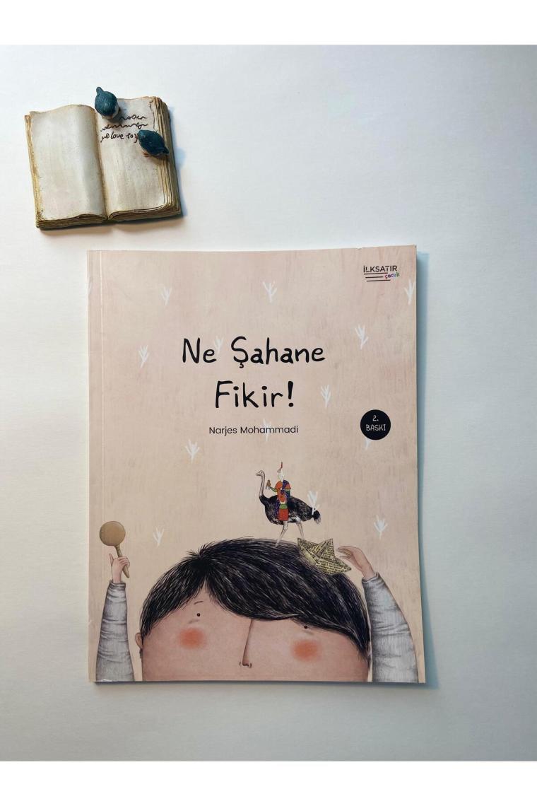Ne Şahane Fikir!