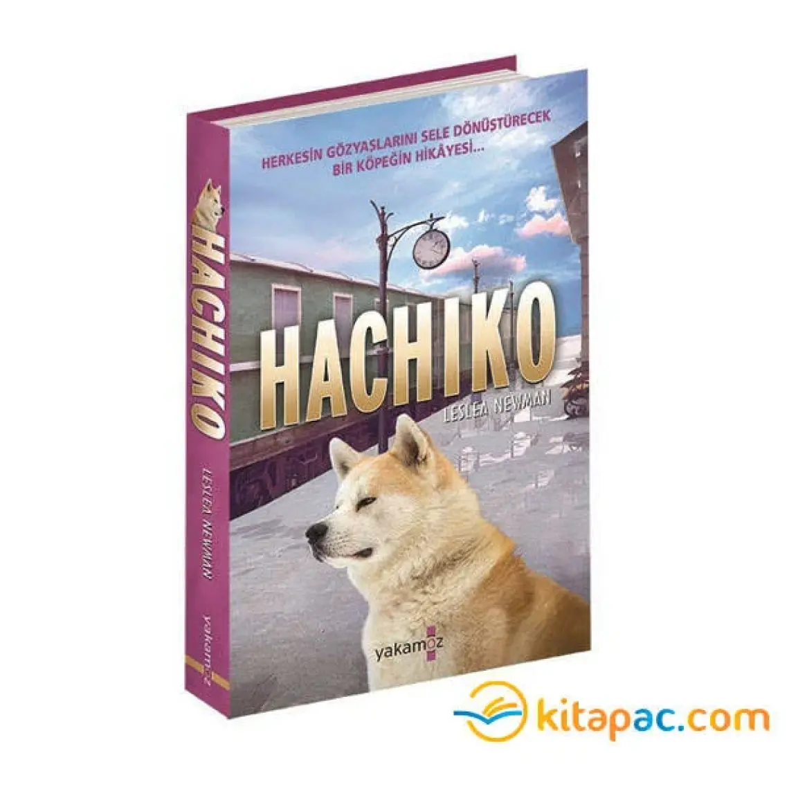 Hachiko (Ciltli)