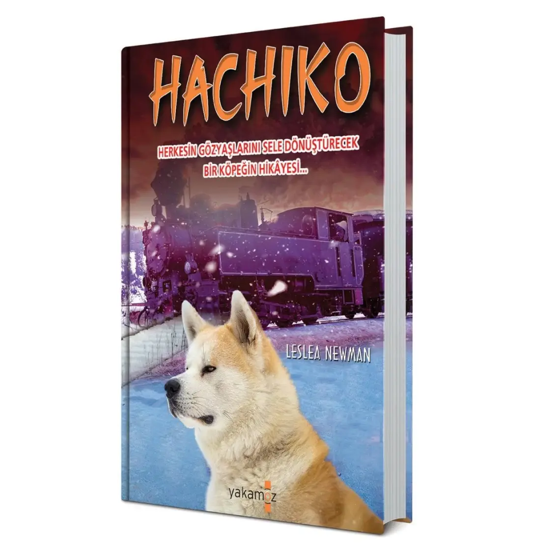 Hachiko (Ciltli)