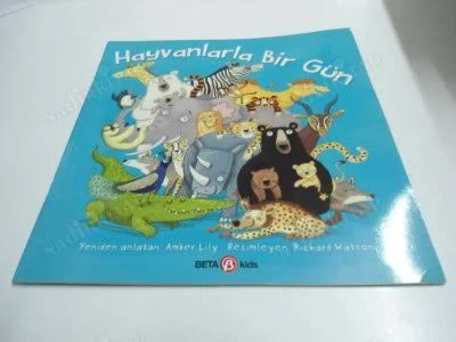 Hayvanlarla Bir Gün - Amber Lily