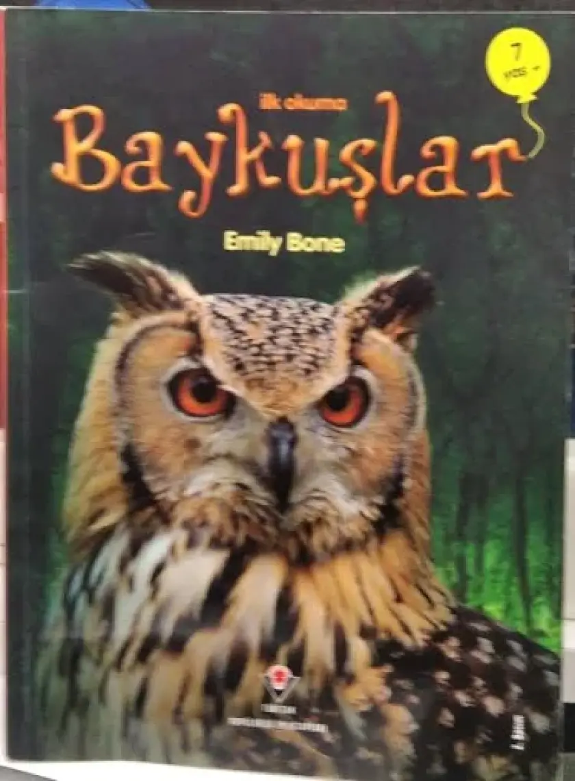İlk Okuma: Baykuşlar - Emily Bone