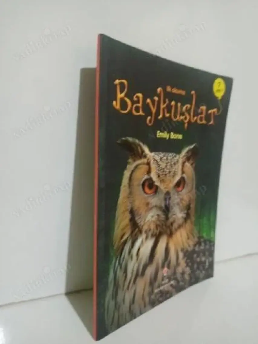 İlk Okuma: Baykuşlar - Emily Bone