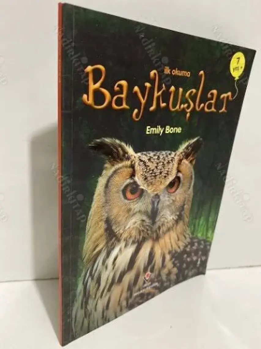 İlk Okuma: Baykuşlar - Emily Bone