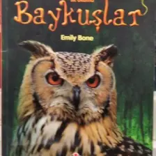 İlk Okuma: Baykuşlar - Emily Bone