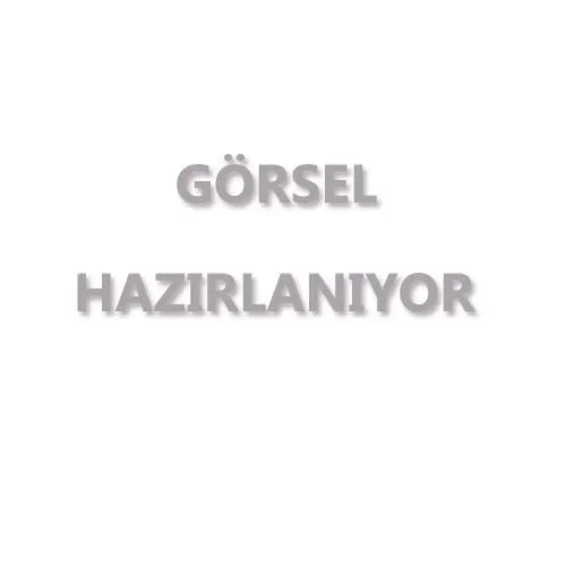 Resimli İngilizce Sözlük - Şeyma Turhan
