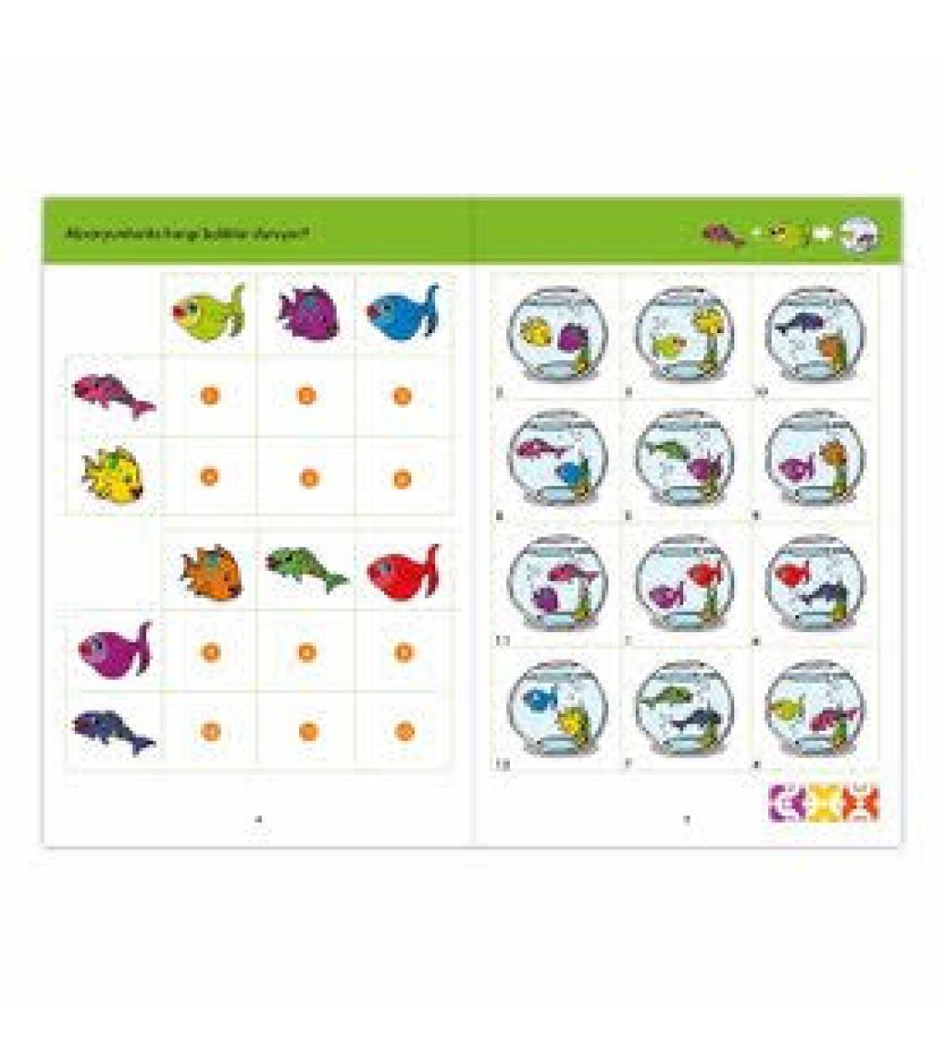 6 Yaş Zekare Smart Görsel Dikkat Seti (10 Kitap + 1 Kontrol Paneli)
