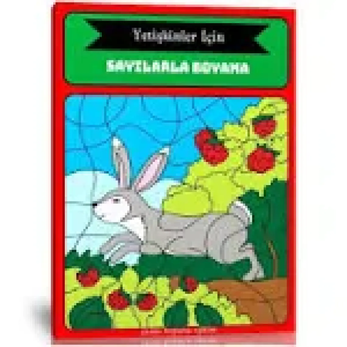 Yetişkinler Için Sayılarla Boyama Kitabı (Ciltli)