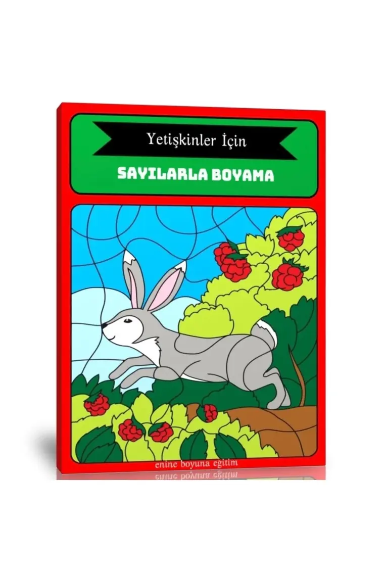 Yetişkinler Için Sayılarla Boyama Kitabı (Ciltli)