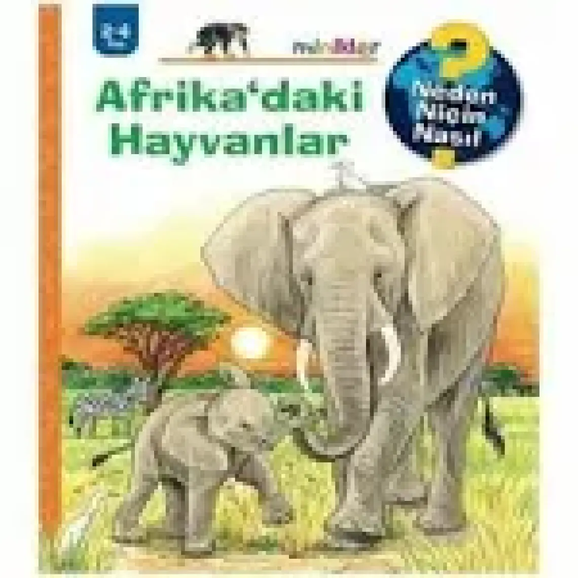 Mikado Yayınları Afrika'daki Hayvanlar