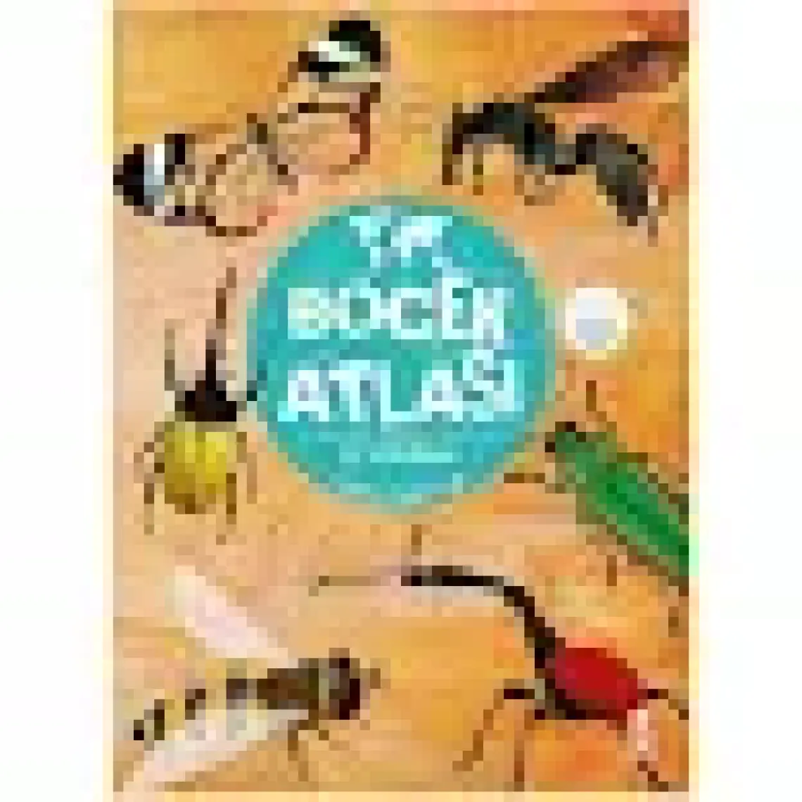 Böcek Atlası - Fatih Dikmen
