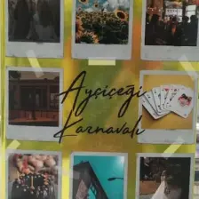 02 : 02 Ayçiçeği Karnavalı (Cep Boy) - N.g. Kabal
