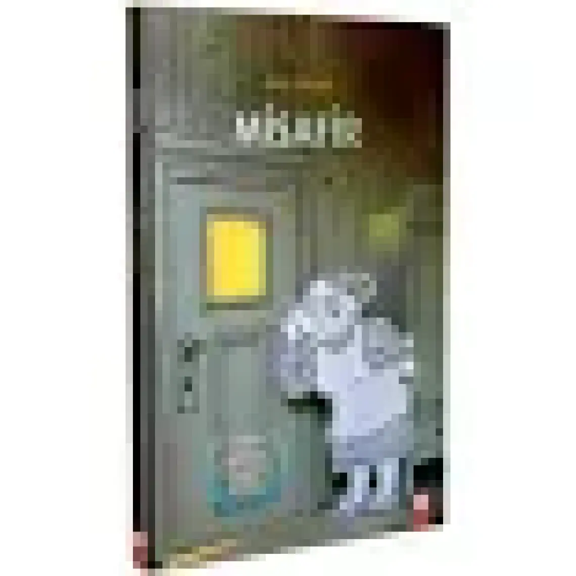 Misafir (Ciltli) - Antje Damm