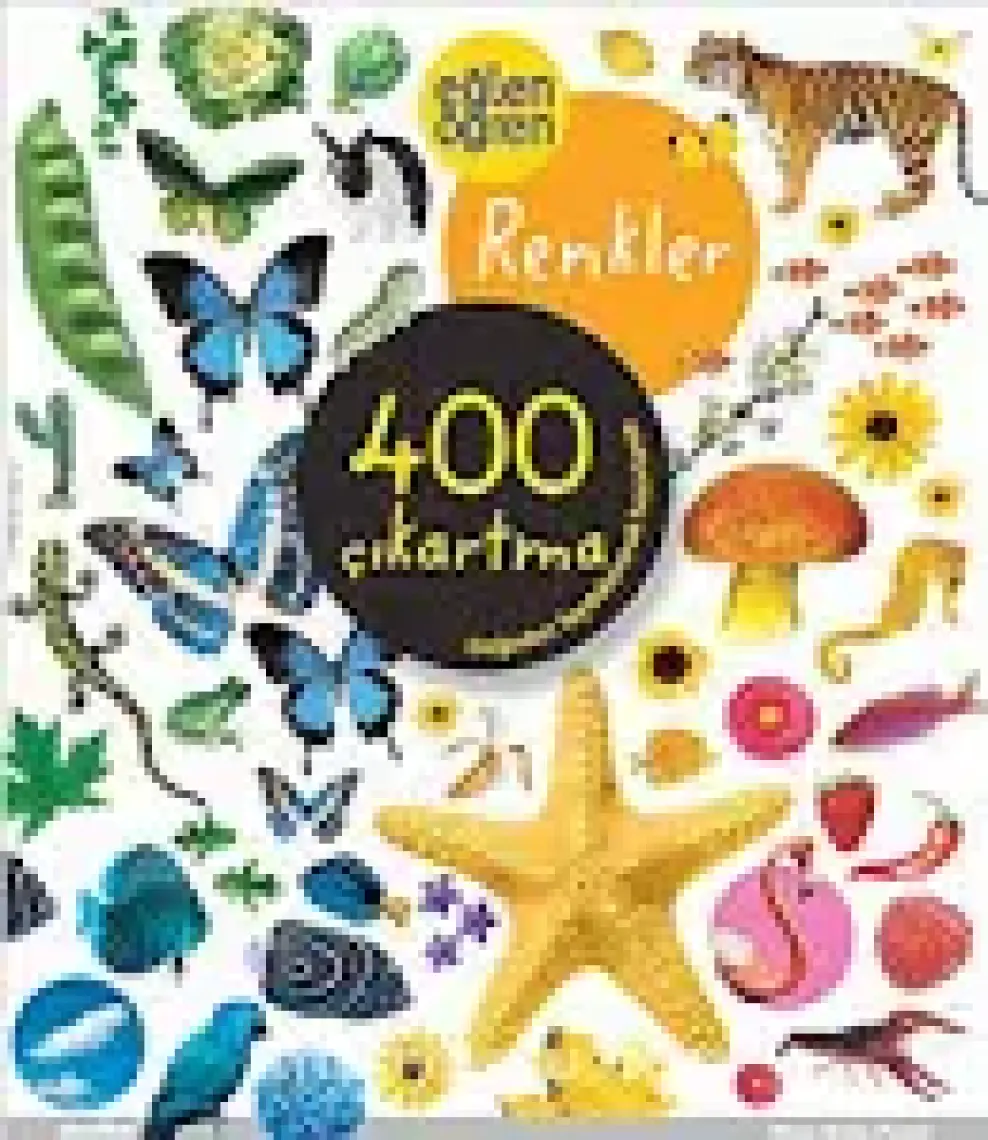 Eğlen Öğren Renkler 400 Çıkartma