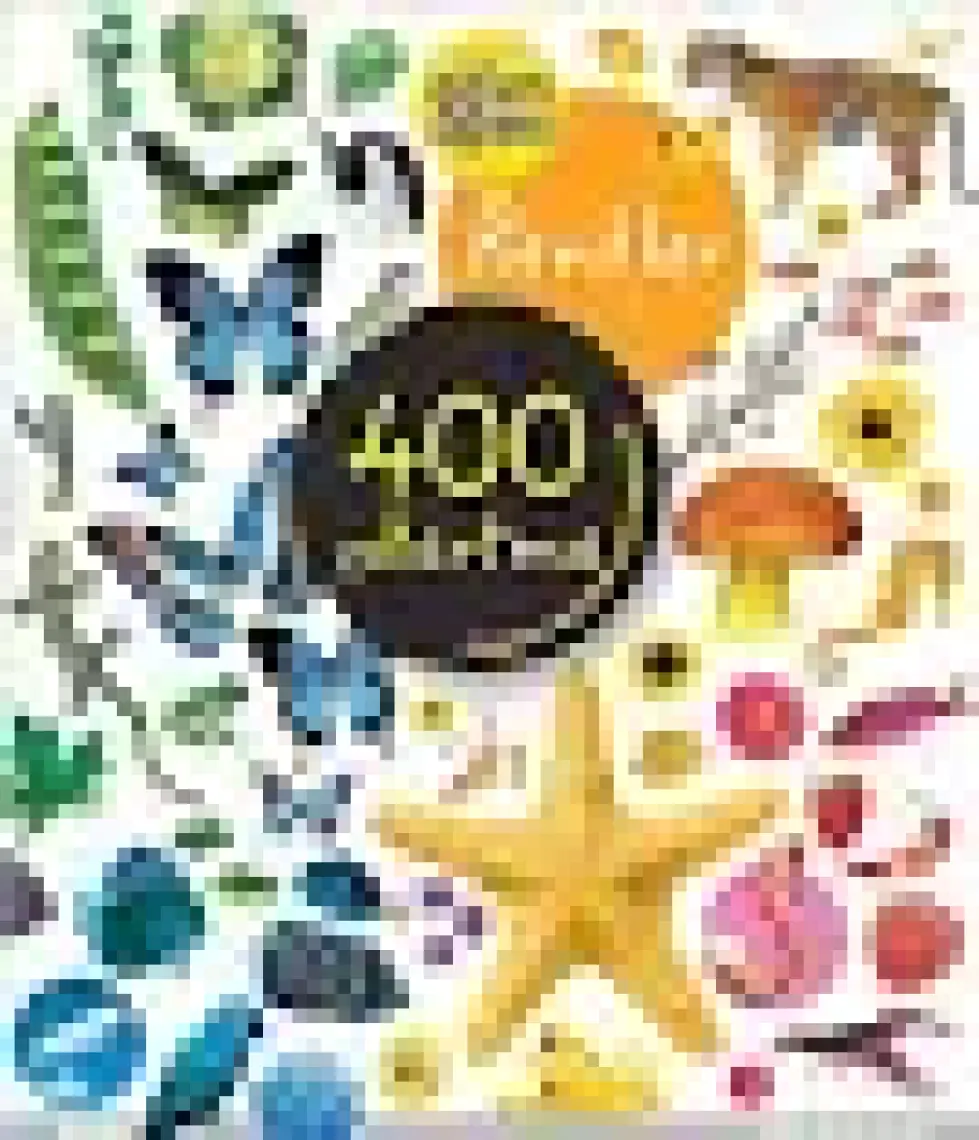Eğlen Öğren Renkler 400 Çıkartma