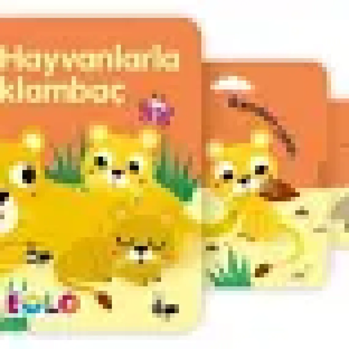 Yavru Hayvanlarla Saklambaç  (Hareketli Kitap & Kaydır Gör)