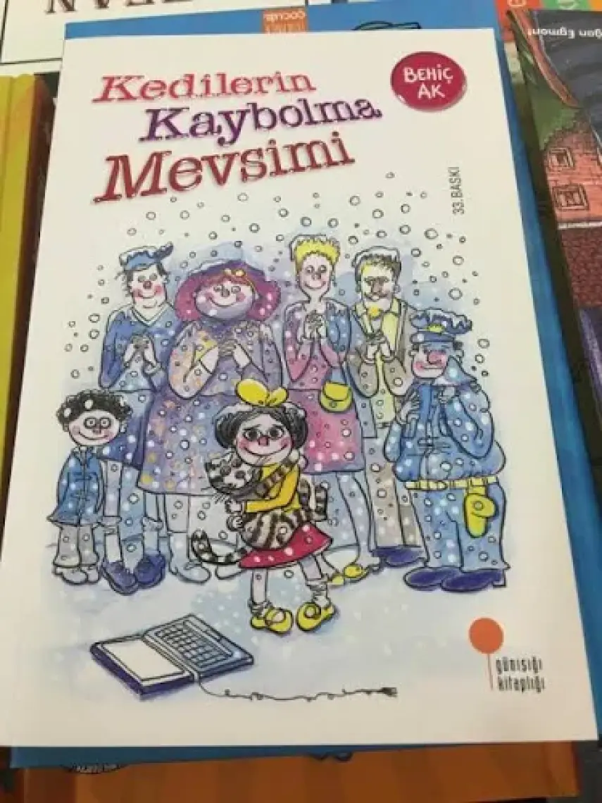 Kedilerin Kaybolma Mevsimi - Behiç Ak