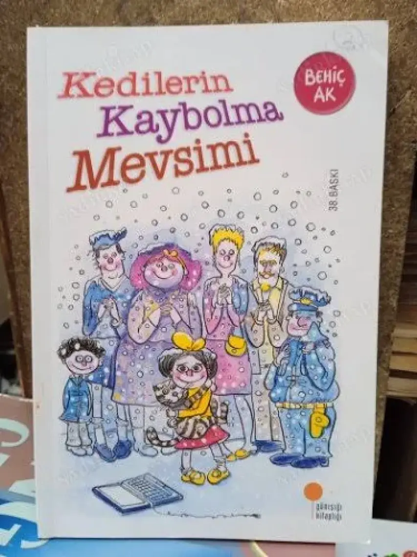Kedilerin Kaybolma Mevsimi - Behiç Ak