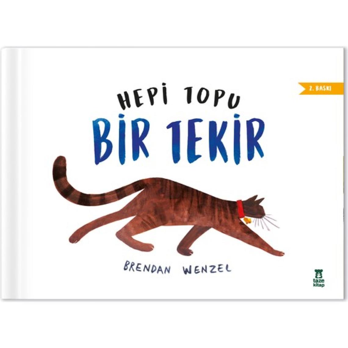 Hepi Topu Bir Tekir - Brendan Wenzel