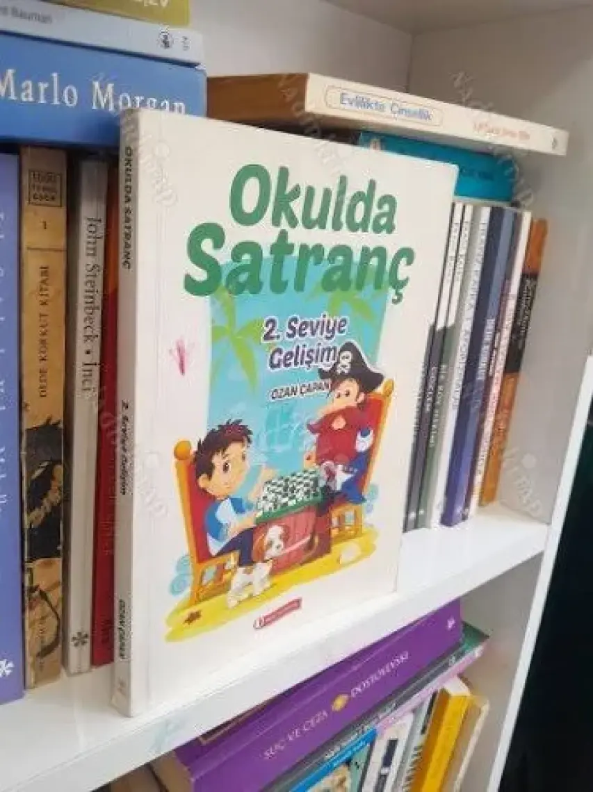 Okulda Satranç 2. Seviye - Gelişim