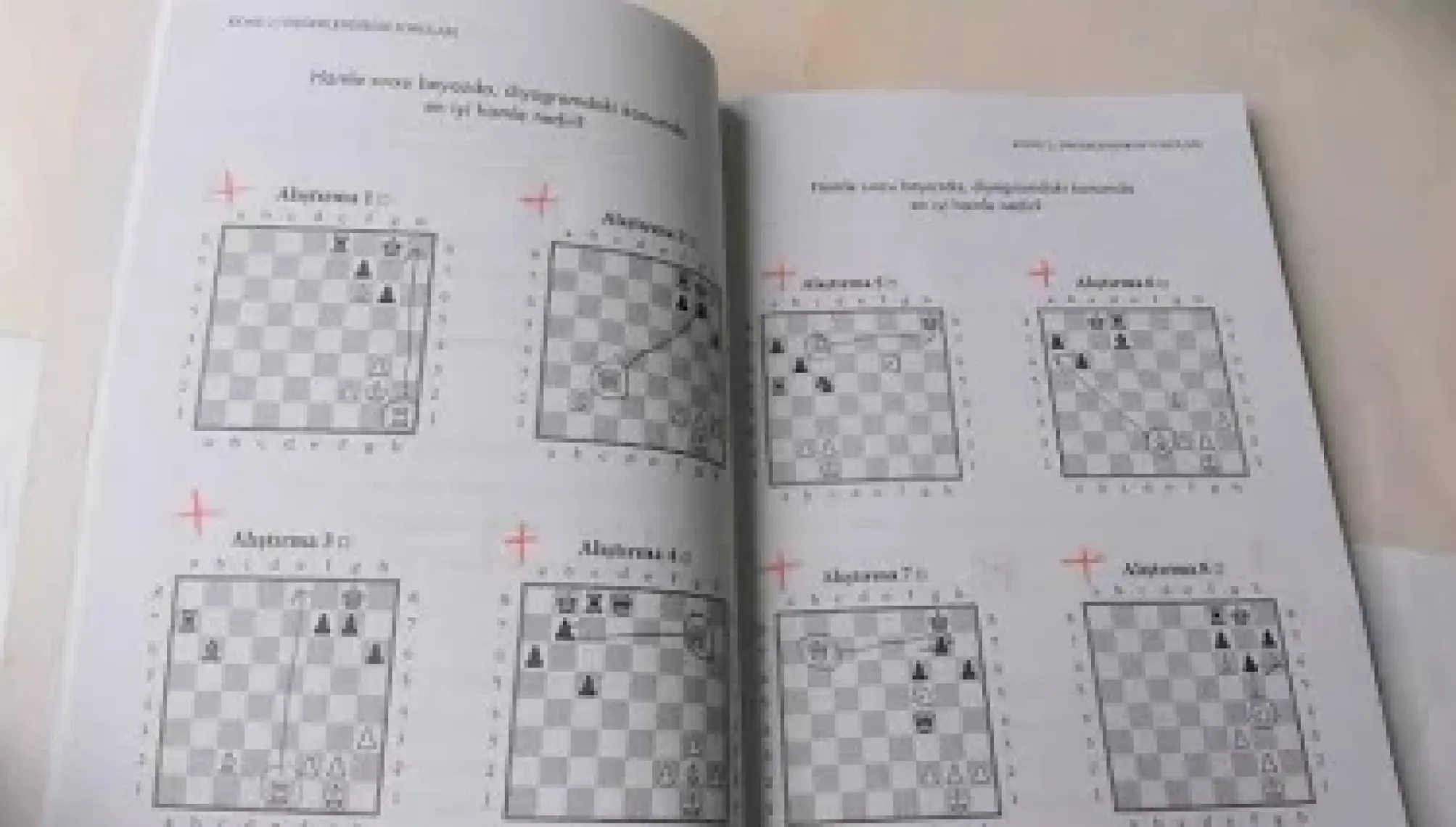 Okulda Satranç 2. Seviye - Gelişim