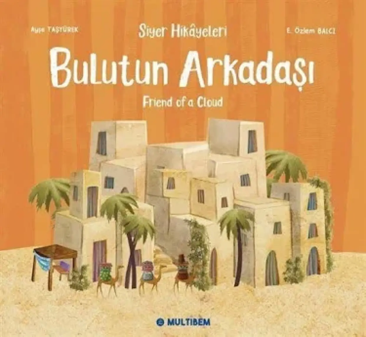 Bulutun Arkadaşı - Ayşe Taşyürek