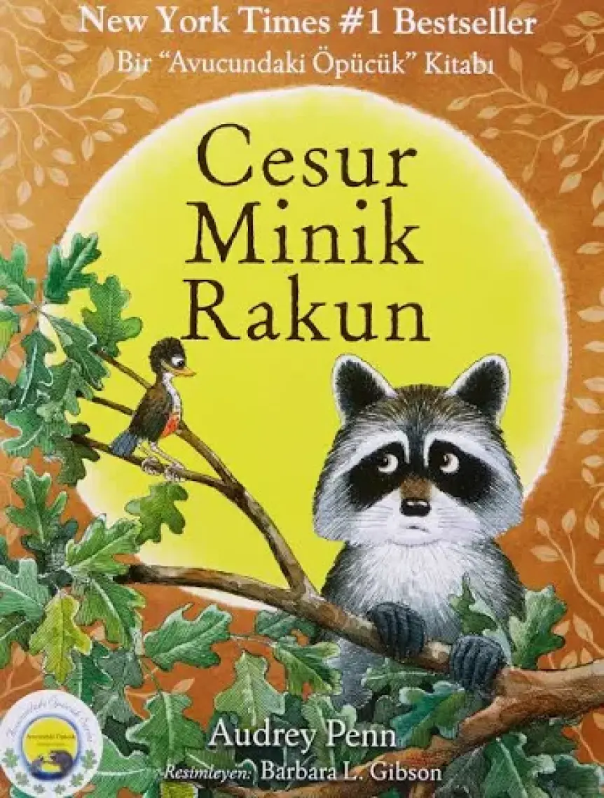 Cesur Minik Rakun