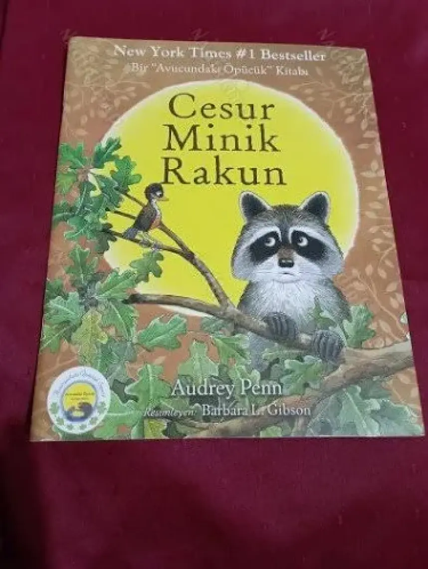 Cesur Minik Rakun
