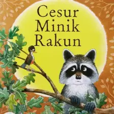 Cesur Minik Rakun