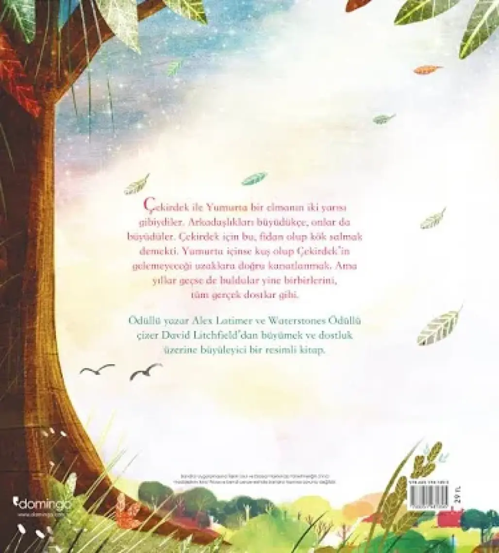 Çekirdek ile Yumurta - Alex Latimer - David Litchfield
