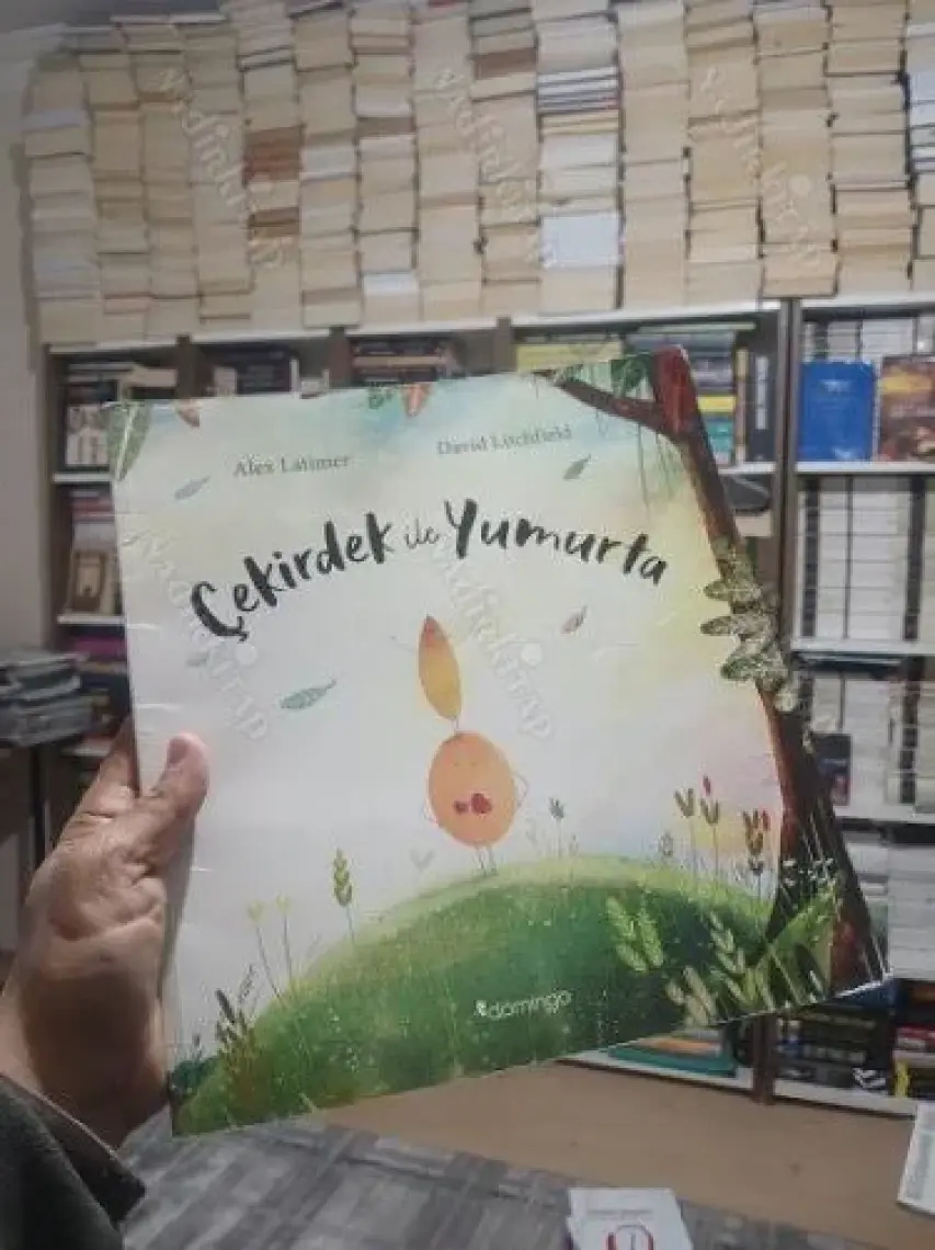 Çekirdek ile Yumurta - Alex Latimer - David Litchfield