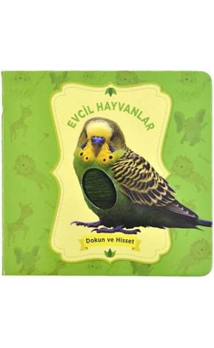 Hayvanlar - Dokun ve Hisset