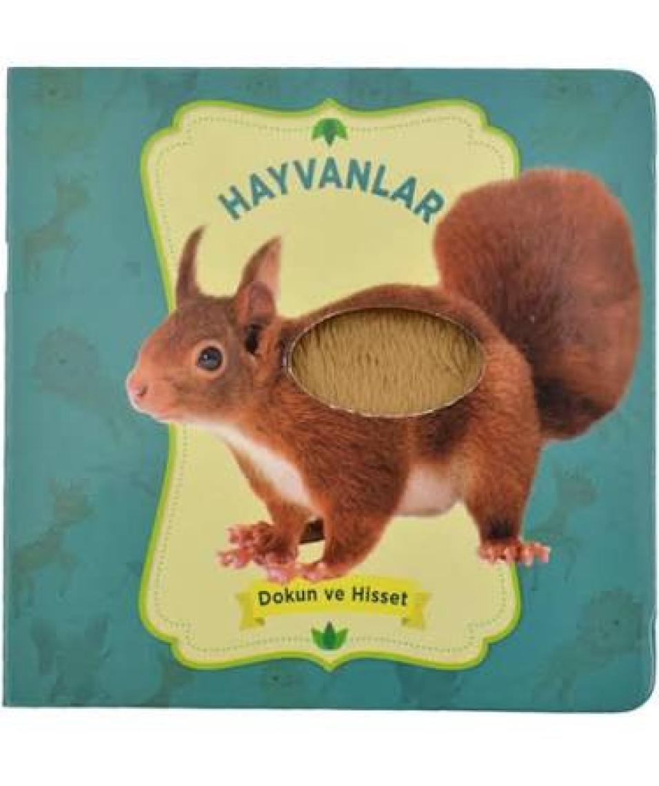 Hayvanlar - Dokun ve Hisset