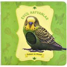 Hayvanlar - Dokun ve Hisset