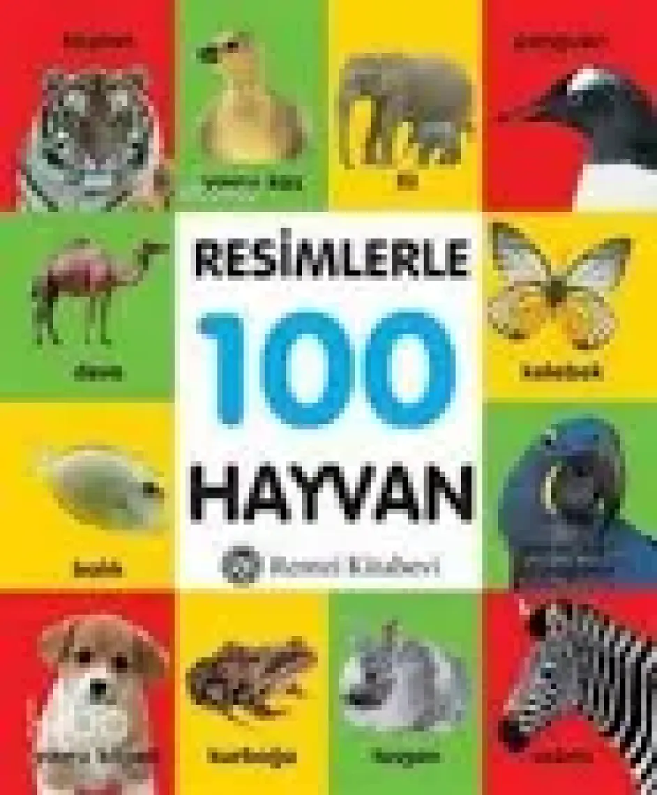 Resimlerle 100 Hayvan (Küçük Boy)